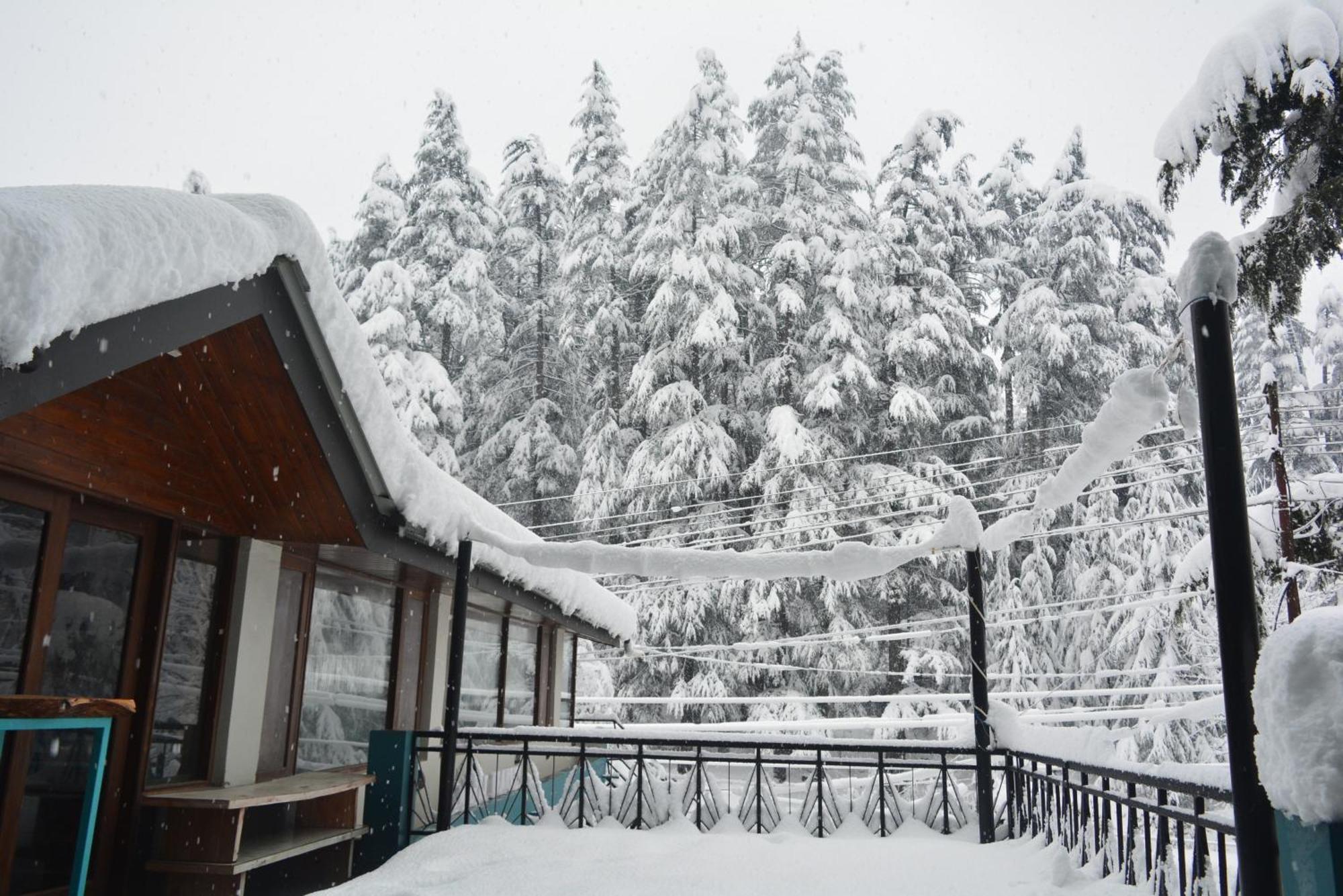 The Neelgiris Hotel Manali  Bagian luar foto
