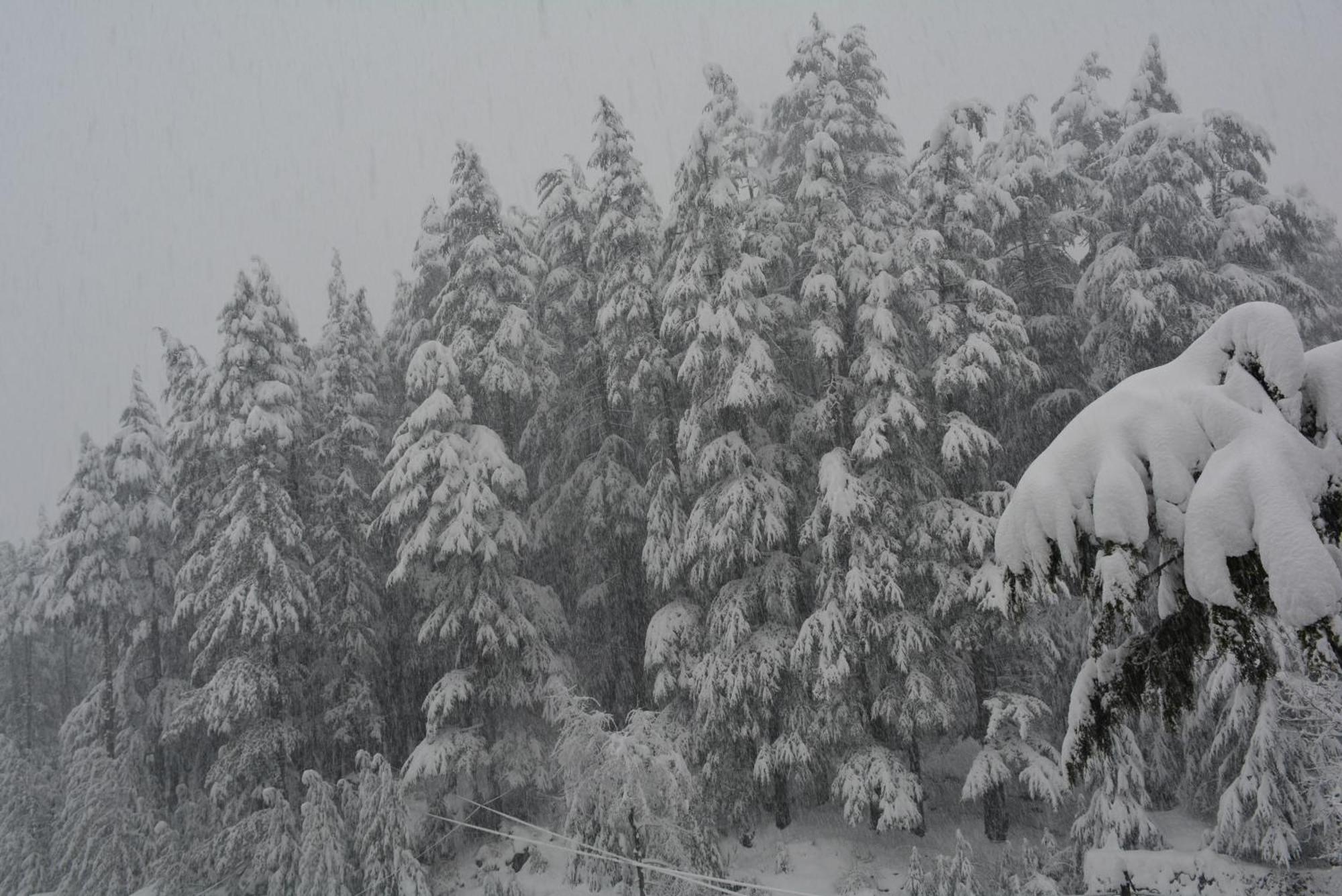 The Neelgiris Hotel Manali  Bagian luar foto